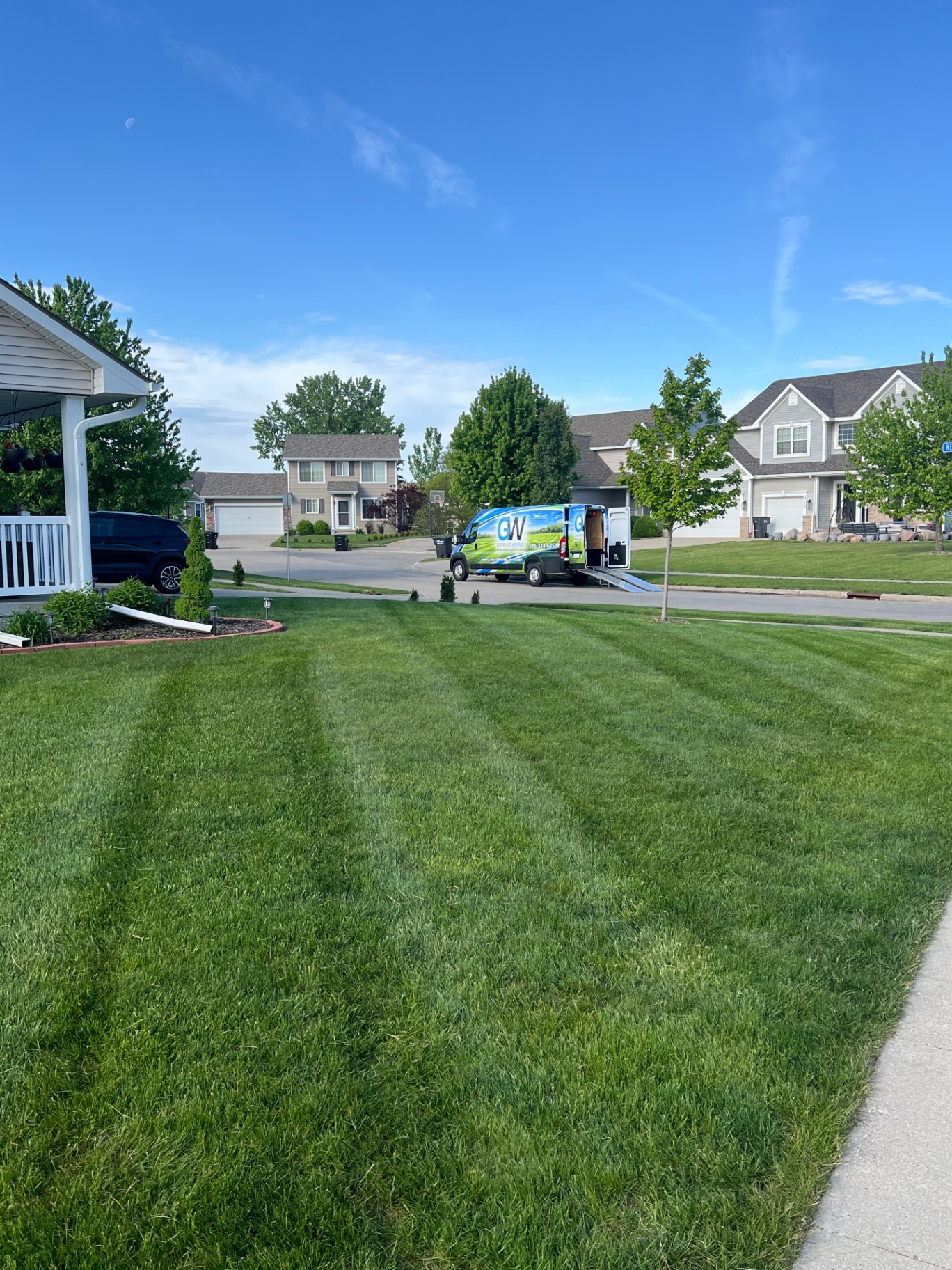 Pruning shrubs during a fall cleanup